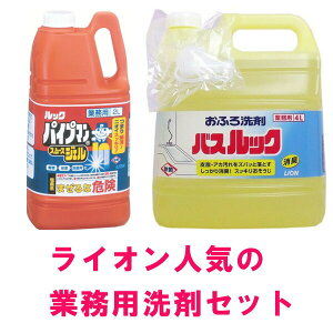 業務用 バスルック 4L & 業務用 ルック パイプマン スムースジェル 2L 洗剤 バス お風呂 浴槽 浴室 すっきり 超速 排水口 排水溝 パイプ 洗剤 髪の毛 つまり 簡単 クイック 除菌 消臭 大容量 LION