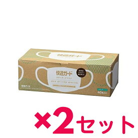 【2セット】 白元アース 快適ガード スタンダードマスク レギュラーサイズ 40枚入 おすすめ マスク 箱マスク 花粉対策 ノーズフィッター 息モレを防ぐ ズレにくい スキマなし 幅広耳ひも 99％カットフィルター プリーツタイプ 肌さわり お得サイズ