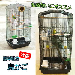 楽天市場 送料無料 鳥かご バードパレス 組み立て式 バードケージ 鳥 大型 ケージ 複数飼い おしゃれ 鳥ケージ ブラック セキセイインコ 文鳥 カナリヤ 小鳥 ブランコ付き とりかご Nstyle 楽天市場店