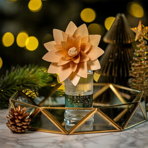 fX iDURANCEj2025~GEC^[ Ebht[fBt[U[ 95ml@pCc[iSEbfB[ȍjiijiNX}Xji2025jij