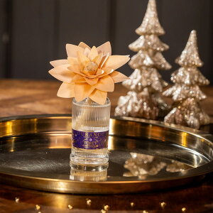 fX iDURANCEj2025~GEC^[ Ebht[fBt[U[ 95ml@~XeBJtHXgiIɕ܂ꂽ؂̍jiijiNX}Xji2025jij