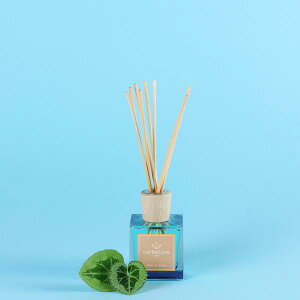 iCARBALINEjfBt[U[u[{g100ml@[^X XeBbN8{tiJoj