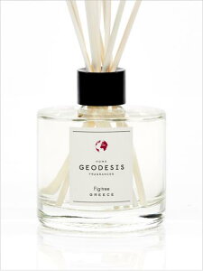 _i^WFIfWXiGEODESISj tOXu[PiLTCY200mljtBOc[ilC̃tOXjiC`WNjiA[X`[tj