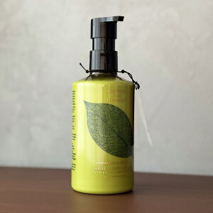 iScottish Fine Soapsjinaturals coriander&lime leafjnh{fB[V300mlii`YjiXReBbVt@C\[vj