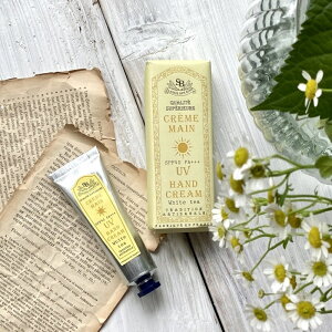 ݌ɏiT^[G{[ejiFCjUVnhN[STCY30ml@zCgeB[ iSenteur et BeautejiFrenchClassicjit`NVbNji_[W]̏ꍇ͔z@ő