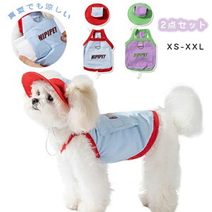 ̕  2_Zbg ^NxXg ĕ p ^NxXg ^ ^ ۗ܃|Pbgt O΍ ڐG⊴ ʋC Ђ hbOEFA   MǑ΍