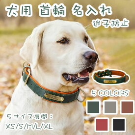 【SS限定・ 64%OFF】【お名前無料彫刻】犬 首輪 名入れ リード付き 迷子札 小型犬 中型犬 大型犬 犬用 オーダーメイド 革製 レーザー彫刻 おしゃれ かわいい 迷子防止 シンプル 手洗い可能 犬の首輪