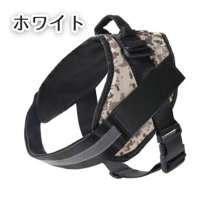 ���i�摜