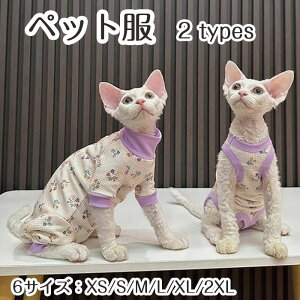 yԌŎg10%OFFN[|zybg L ^ LbgEFA hbOEGA ΍ ڐG⊴ EȒP   킢 ybg ی L  rߖh~ Lpm 
