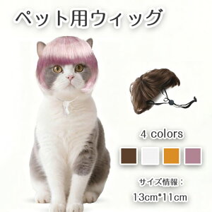 yԌŎg10%OFFN[|zybgEBbO  L ybgp Xq 蕨  ʔ nEB Jc ObY ϑ ϐg Be  o| U EȒP ʔ 