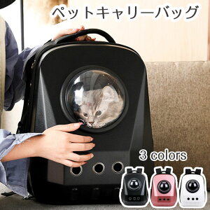 yԌŎg10%OFFN[|zybgL[ bN LL[obN NA FD ybgL[obO L[bN L[obO ^ ˂ p Lp ω׏d8Kg L