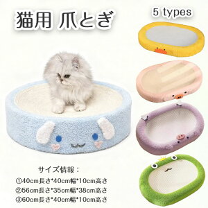 Lp ܌ L xbh ȉ~` ybgxbh VRTCU ߂Ƃ Lbg 킢  킢 v ϖ V bNX I[V[Y XgX ƋveN^[