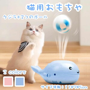 yԌŎg10%OFFN[|zNW^{[ L  NW t[eBO{[ t@ u[ ㏸ XgX ybgpi USB[d 