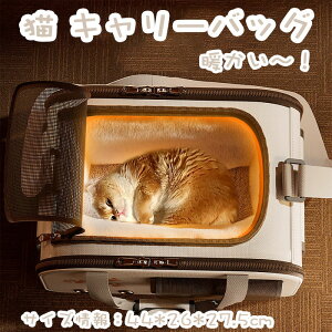 yԌŎg10%OFFN[|zybgL[obO L p Lp AEghA H~ۉ ^ ܂ y ʋC e ybgpi яoh~ U o| Ckp lRp 