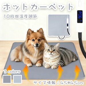 yԌŎg10%OFFN[|zybgpzbg}bg q[^[}bg 10iKx ^C}[@\t ߔMی  ybg J[ybg ~p  L D L Vv