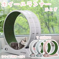 【期間限定で使える10%OFFクーポン】キャットホイール 猫 ルームランナー 静音 自走式 ランニングホイー…
