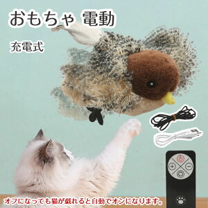 yԌŎg10%OFFN[|zL   d H΂ lV USB[d ʂ ̂ d Lp 􂢉\  ɂԂ V ^s