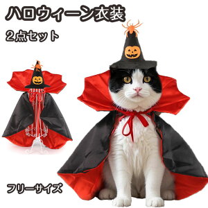 nEB ybg RX`[ RXv  Lp  }gnEBybg ybg RXvߑ ^ RX`[  @g p[eB[ v[g ʐ^ Be 