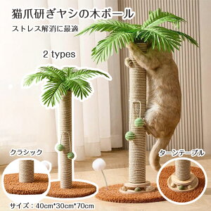 yԌŎg10%OFFN[|zL ܂Ƃ|[ cu L܌V̖؃|[ Lbg^[ L߂Ƃ^[ V̖ Dꂽ萫 qL ^L  ͋C Ƌjh~ S