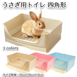  gC bV lp` P[Wp o K юUh~ ETM ݖh~ XmRt `` tFbg bg ` 傫 lp p gCg