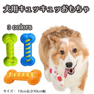 yԌŎg10%OFFN[|zpLbLb ybg   ^ ނ Sf Ȃ ̂ ^ XgX SN S y yo
