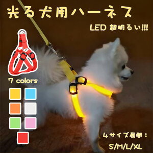 yԌŎg10%OFFN[|zpn[lX ^ ^ LED  S y ^ ^ ^ ybgp   Up U ̖h~