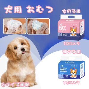 yԌŎg10%OFFN[|zp ނ ̎qp j̎qp 12/10ĝă}i[pcpc^Cv }i[ނ  ނ Ic ybgp  ނ ybgp