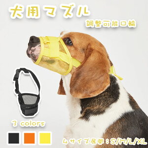 �y���Ԍ���Ŏg����10%OFF�N�[�|���z�� ���� ���p�}�Y�� �����\ �ʋC ���b�V���}�X�N �Z�[�t�e�B�}�X�N ���^�� ���^�� ��^�� ���ʖi���h�~ �Ƌ�ݖh�~ ���݂��h�~ �����ȒP �O�o�֗� 