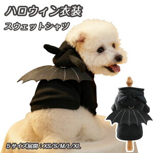 yԌŎg10%OFFN[|z nEB H~  XEFbgp[J[t[ht p[J[ ^ ^ RE RX`[  nbs[nEB RXv g 
