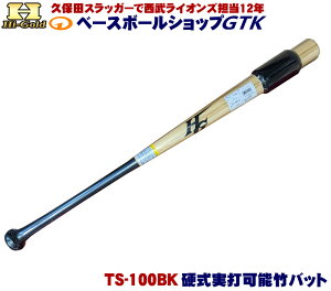 nCS[h TS-100BK ŉ\g[jO|obg dp 84cm 880g ubN× 싅 GTK