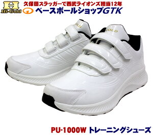 nCS[h PU-1000W g[jOV[Y y^Cv V[Yܕt y GTK