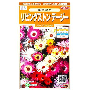 yTJ^̃^lzrOXgf[W[@Fi0.2mljy`XցE`OXւł̔̂ݑzԒd/Rei/v^[/Ԏ/q/A/͔|/K[fjO/xjn/ci