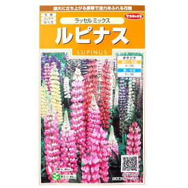 楽天市場 ルピナス 花の通販