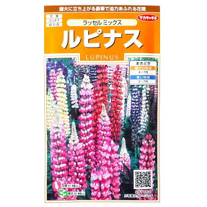 yTJ^̃^lzsiX@bZ@~bNXi1mljy`XցE`OXւł̔̂ݑzԒd/Rei/v^[/؂/Ԏ/q/A/͔|/K[fjO//m{t