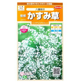 楽天市場 かすみ草 苗 花 ガーデン Diy の通販