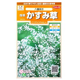 楽天市場 花 春まき 種の通販 楽天市場 花 春まき 種の通販