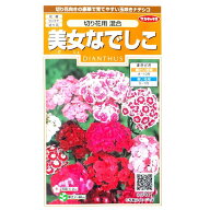 【サカタのタネ】美女なでしこ　切り花用 混合（0.5ml）【定形郵便・定形外郵便での発送のみ送料無料】花…
