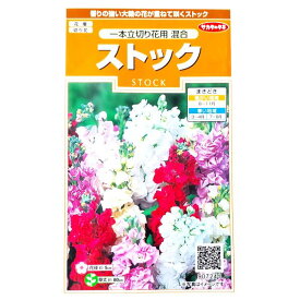 楽天市場 春 切り花 種類の通販