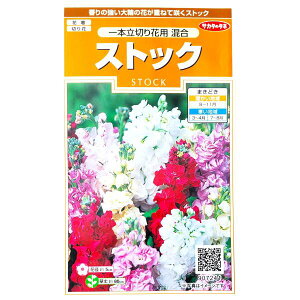 yTJ^̃^lzXgbN@{؂ԗp i0.1mljy`XցE`OXւł̔̂ݑzԒd/؂/Ԏ/q/A/͔|/K[fjO//AZCgE/Aui/