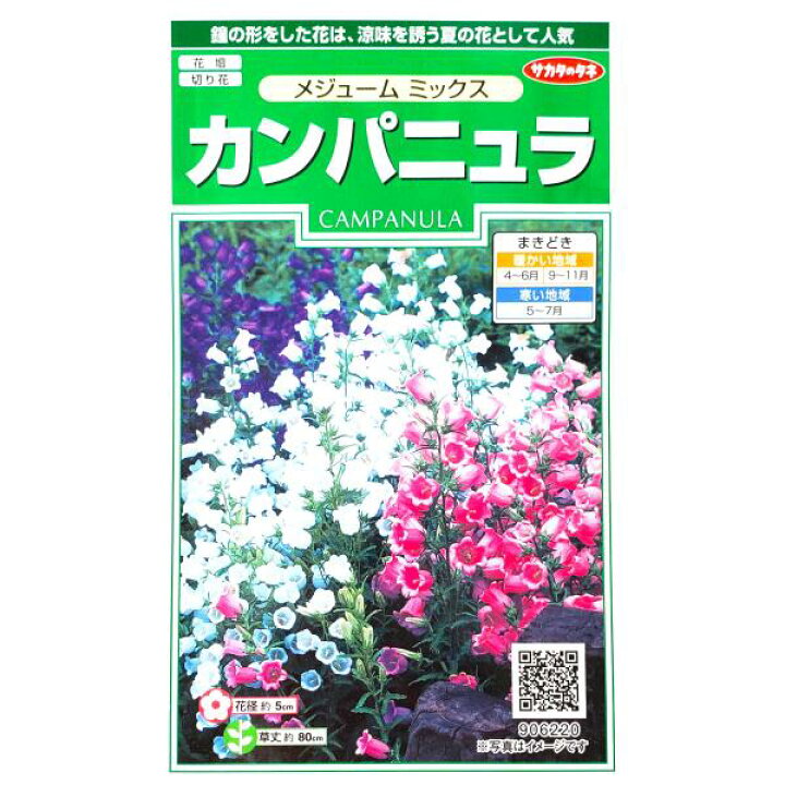 楽天市場 サカタのタネ カンパニュラ メジューム ミックス 0 2ml 定形郵便 定形外郵便での発送のみ送料無料 花壇 切り花 切り花用 花 種 種子 植物 栽培 ガーデニング 自宅で フウリンソウ 春まき 夏まき 耐寒性1 2年草 採苗本数 およそ0本 9062 G Top