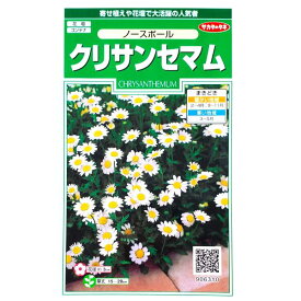 楽天市場 寄せ植え 生産国インド の通販 楽天市場 寄せ植え 生産国インド の通販