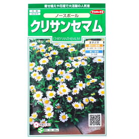 楽天市場 種 ノースポールの通販