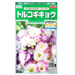 yTJ^̃^lzgRMLE@_uoCJ[ ~bNXi45jy`XցE`OXւł̔̂ݑzRei/v^[/؂/Ԏ/q/A/͔|/K[fjO/