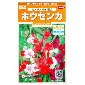 楽天市場 ホウセンカ 種の通販 楽天市場 ホウセンカ 種の通販