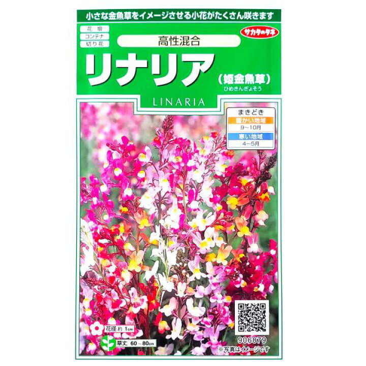 楽天市場 サカタのタネ リナリア 姫金魚草 高性混合 0 1ml 定形郵便 定形外郵便での発送のみ送料無料 花壇 コンテナ プランター 切り花 切り花用 花種 種子 植物 栽培 ガーデニング ヒメキンギョソウ 耐寒性1年草 春まき 秋まき 採苗本数 およそ250本 G Top