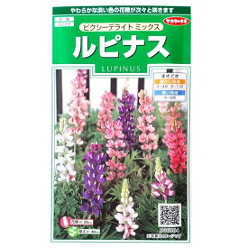 楽天市場 ルピナス 花の通販