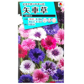 楽天市場 矢車草 種の通販