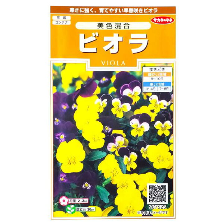 楽天市場 サカタのタネ ビオラ 美色混合 0 1ml 定形郵便 定形外郵便での発送のみ送料無料 花壇 コンテナ プランター 花種 種子 植物 栽培 ガーデニング 自宅で 春まき 夏まき 秋まき 耐寒性1年草 スミレ科 採苗本数 およそ40本 G Top