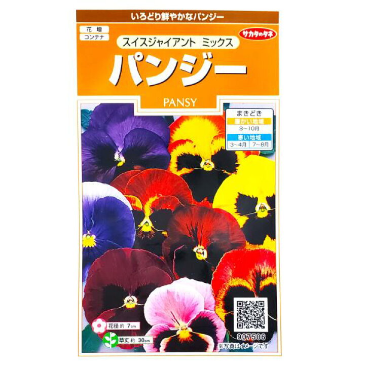 楽天市場 サカタのタネ パンジー スイスジャイアント ミックス 0 1ml 定形郵便 定形外郵便での発送のみ送料無料 花壇 コンテナ プランター 花 種 種子 植物 ガーデニング 自宅で 春まき 夏まき 秋まき 耐寒性1年草 スミレ科 採苗本数 およそ25本 G Top