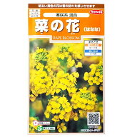 【サカタのタネ】菜の花（はなな）　寒咲系 混合（1ml）【定形郵便・定形外郵便での発送のみ送料無料】花…